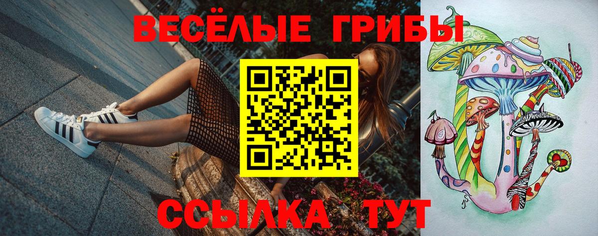 Псилоцибиновые грибы мухоморы  что такое   Ирбит  Вход с VPN 